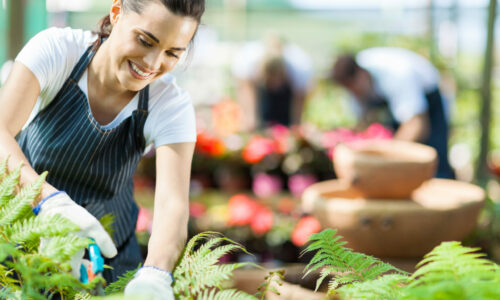 QQI Accredited work experience in Horticulture Course
