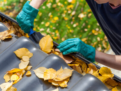 4N3774 GB DHO Home Repairs and Maintenance - Group Bookings