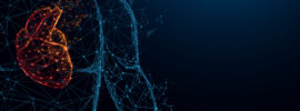 Anatomy and Physiology - Live and Online