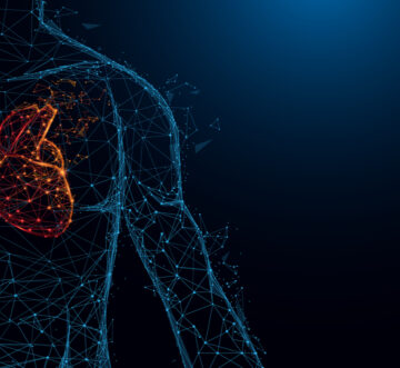 5N0749 Anatomy and Physiology Level 5 Cover Image