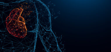 Anatomy and Physiology - Live and Online -  training course