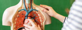 Biology - Live and Online