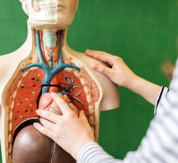 5N2746 Biology Level 5 Cover Image