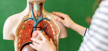 Biology - Live and Online -  training course