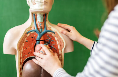 5N2746 Biology Level 5 Cover Image