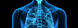 Anatomy and Physiology - Classroom Near You