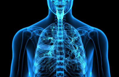 5N0749 Anatomy and Physiology Level 5 Index Image