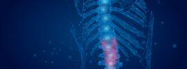 Anatomy and Physiology - Online Anytime 1:1 Course