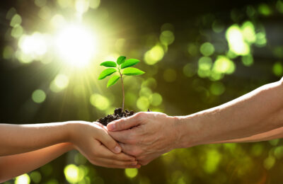 5N1279 Human Growth and Development Level 5 Index Image