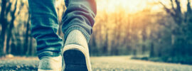 Human Growth and Development - Online Anytime 1:1 Course