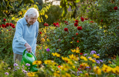 5N2706 Care of the Older Person Level 5 Index Image