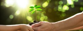 Human Growth and Development - Classroom Near You