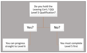 what course first of Levlel 5 or Level 6 QQI