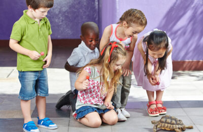 6C21521 Inclusive Early Learning and Care Level 6 Learning Outcome Image