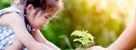 Early Childhood Growth and Development - Classroom Near You