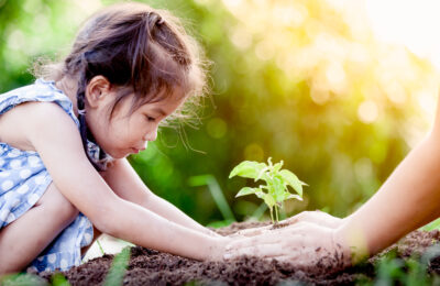 5C21526 Early Childhood Growth and Development Level 5 Learning Outcome Image