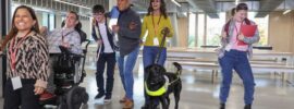  Intellectual Disability Studies (Teacher Summer Courses) - Online
